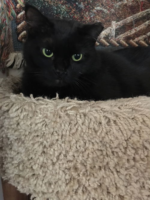 SALEM