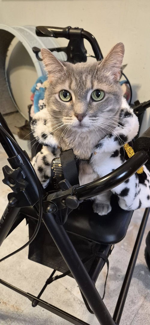 Photo 3 of Luna