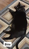 BINX