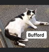 BUFFORD