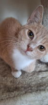 SAMMY