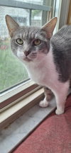 WHITNEY - Photo 4