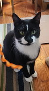 RUGGLES - Photo 1