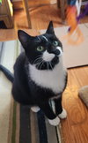 RUGGLES - Photo 2