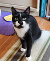 RUGGLES - Photo 3