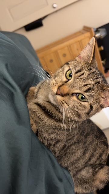 SABRINA Image