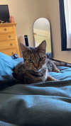 SABRINA - Photo 2