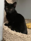 ELVIRA - Photo 2