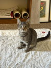 JASPER - Photo 1