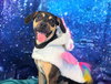 LUNA - Photo 1