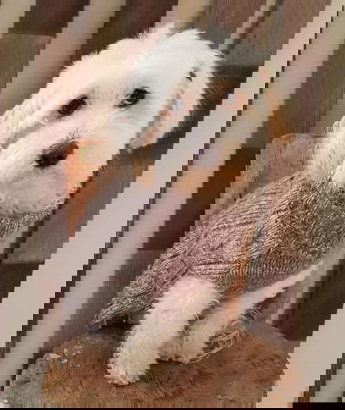 Casper