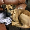 Lilly