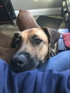 Lilly