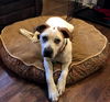 Sawyer