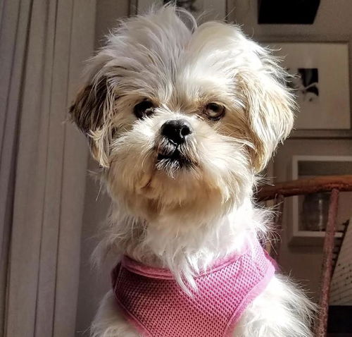 Cecelia