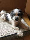 Charlie