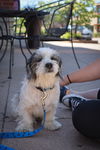 Charlie