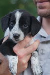 Tilly