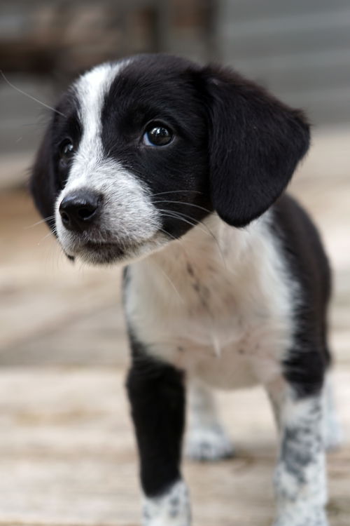 Tilly