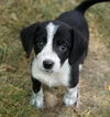 Tilly