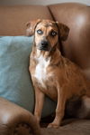 Lola
