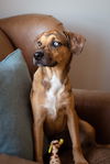 Lola