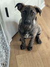 Tillie