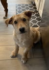 Hiro
