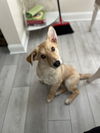 Hiro
