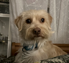 Miss Penny