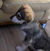 Lillian