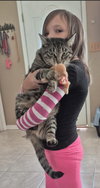 Calista - Photo 2