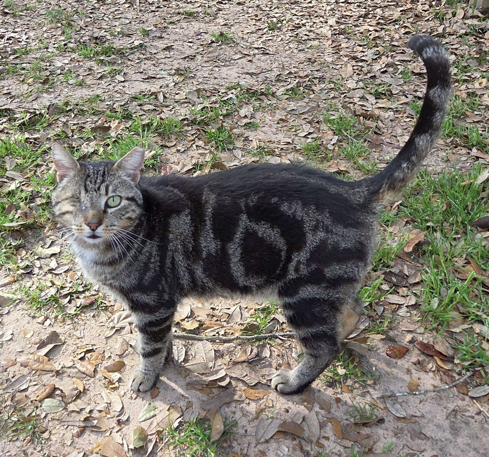 Crabby Pants: The one eyed sweety!