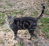 Crabby Pants: The one eyed sweety! - Photo 1