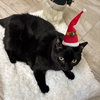 Mama - Photo 1