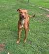 Tina - Photo 4