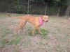 Tina - Photo 2