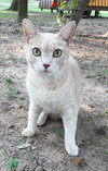 Buddy - Photo 1