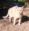 Buddy - Photo 2