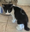 Radar - Photo 3