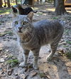 Bert - Photo 2