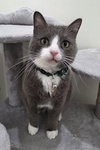 Buddy - Photo 4