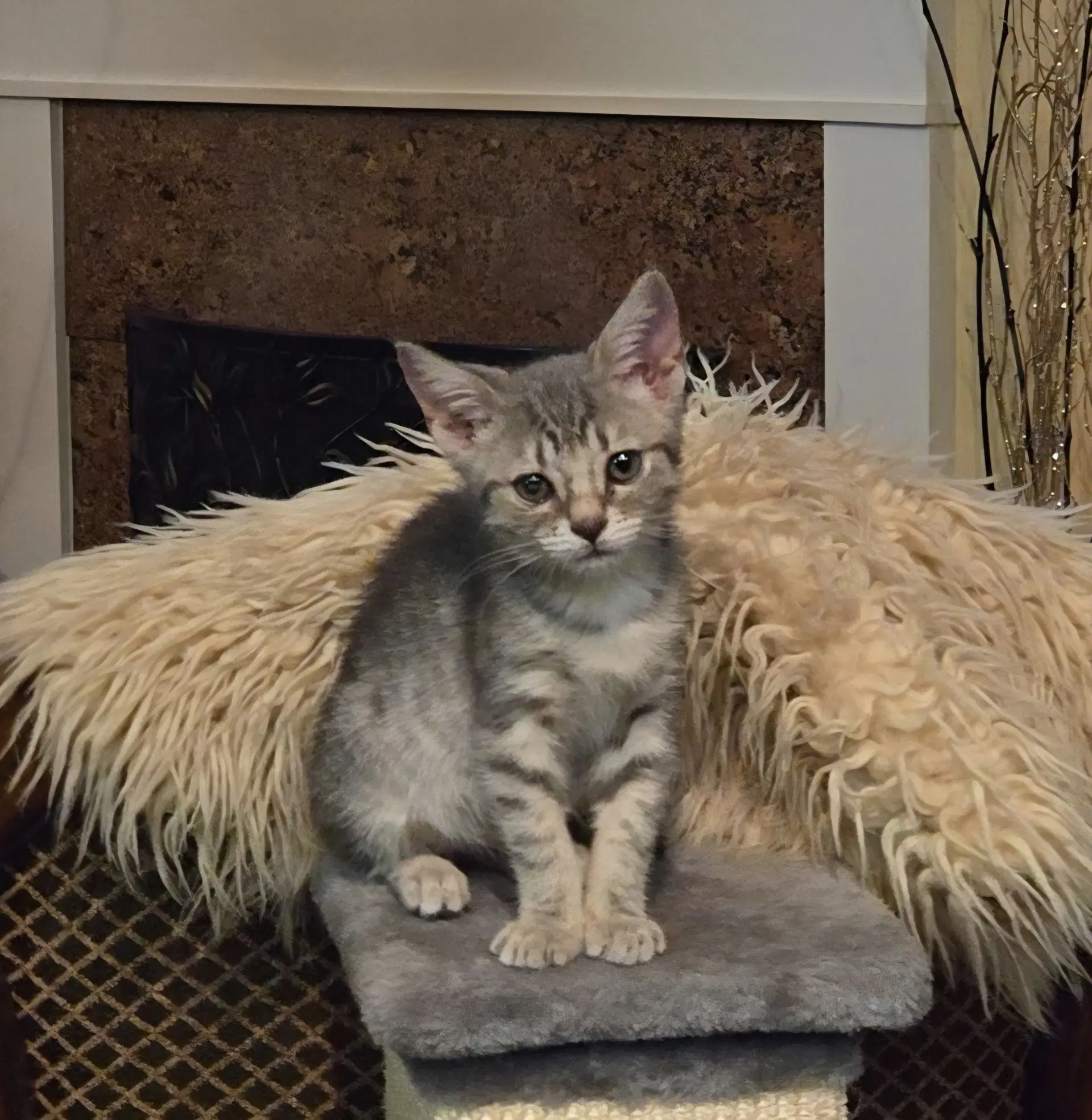 Leah image 4