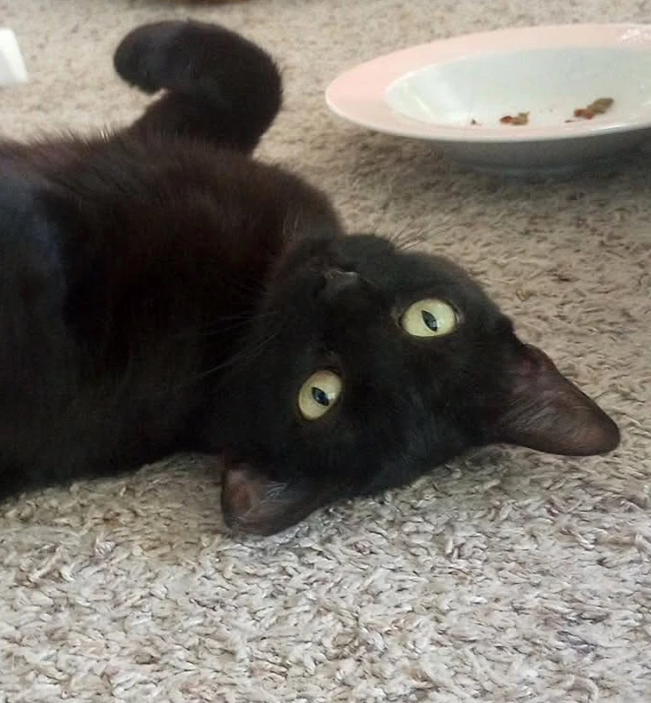 Kali