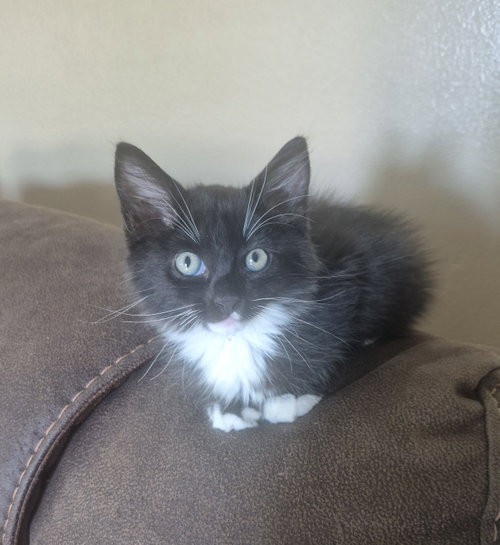 Photo 2 of Stormy