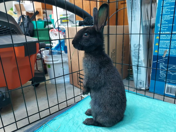 Ellie