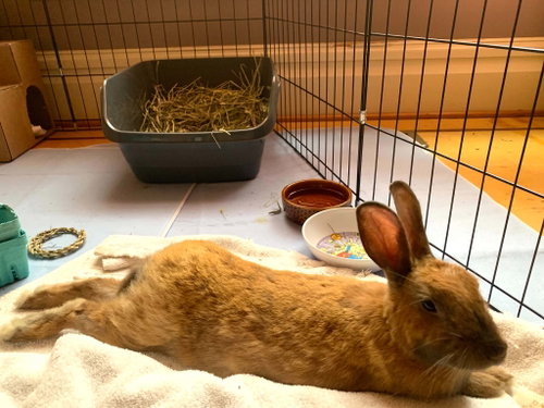 Photo 4 of Breeze