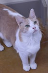 TIMMY - Photo 11