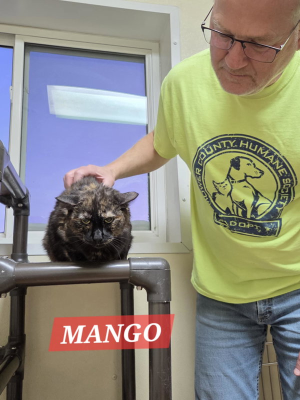 Mango