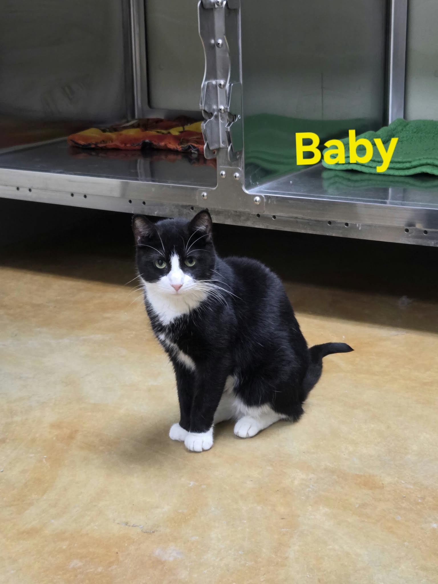 Baby, photo 13